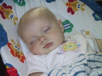 IMG_0424_mid.jpg