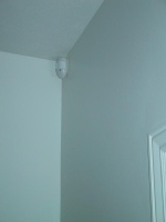 IMG_0445_mid.jpg