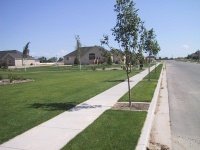 STN_0471_mid.jpg